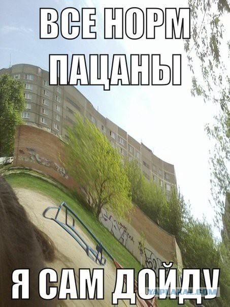 Смешные картинки из соц. сетей.