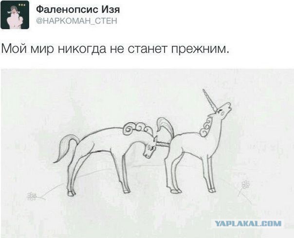 Картинки с инета.