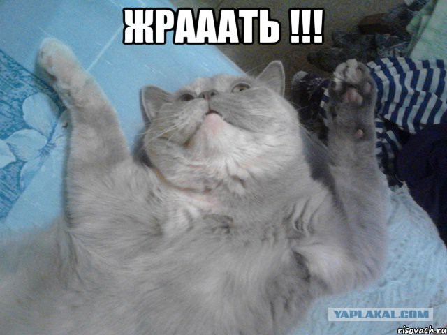 Как правильно встретить мужа с работы