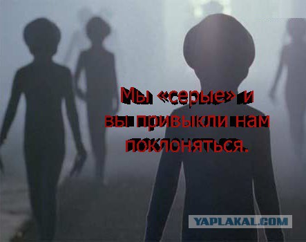 Что от нас скрывают?