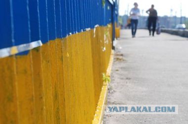 Самые смелые патриоты в России