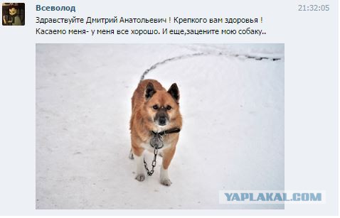 Внезапно у Медведева оказалась открыта личка