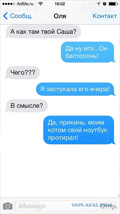 Веселости попавшиеся на глаза сегодня