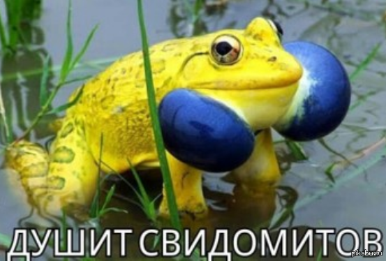 В Киеве забросали навозом посольство США 03.04.15