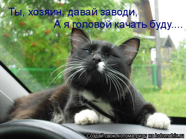 Если нет денег на игрушку...