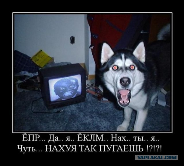 Вот, что вспышка животворящая делает!..