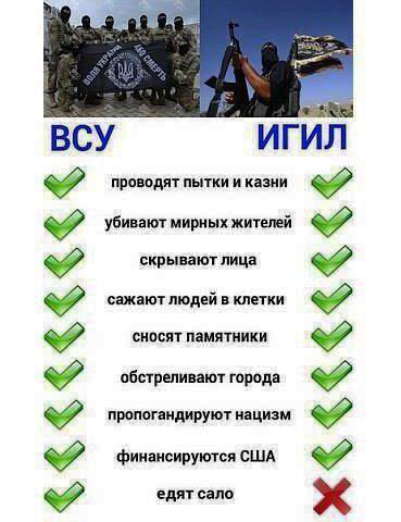 Нет предела глупости