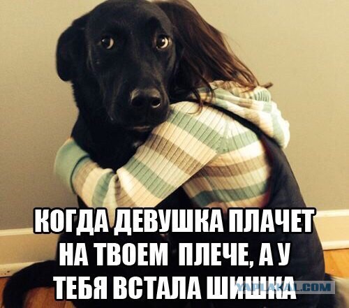 15 картинок с тЫрнета