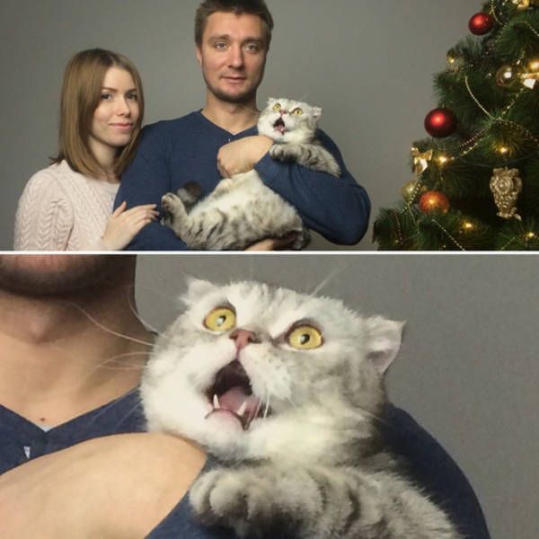 Немного юмора, заимствованного из сети
