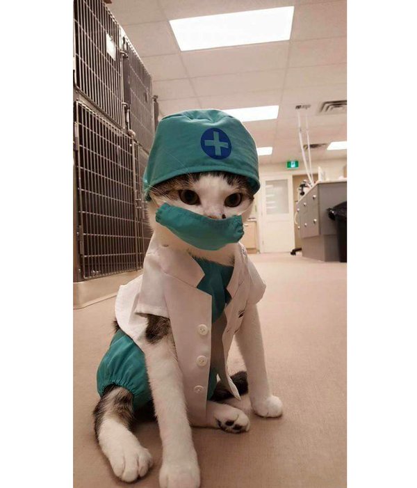 Это работает!