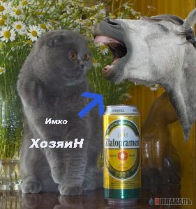 Хозяяяин..субботний  завтрак готов.