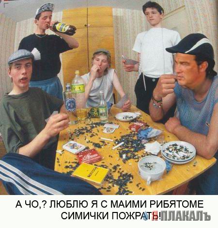 Фотожаба: Стивен Сигал