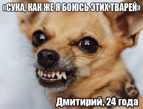 Картинки из Интернетов