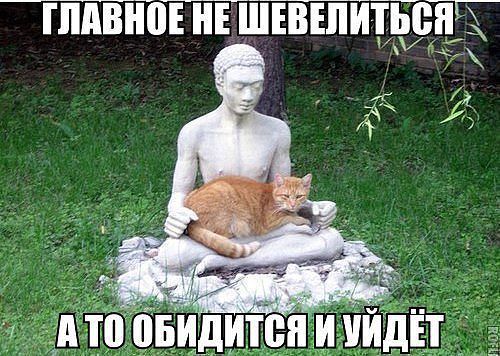 Картинки разные