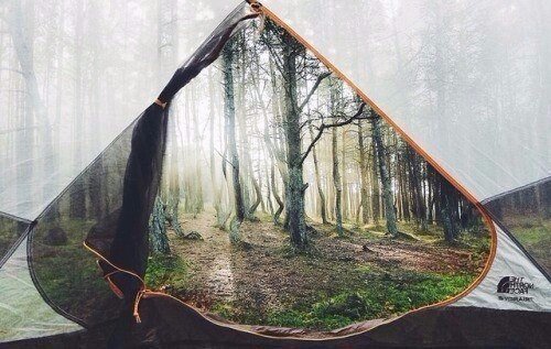 Интересные и веселые картинки