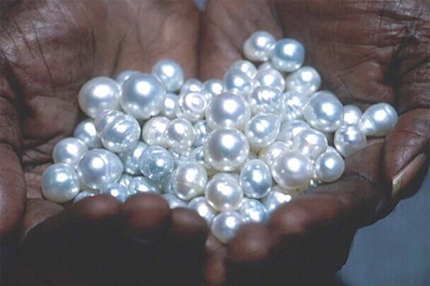 Интересные и веселые картинки