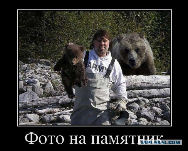 Собака играет с медведем