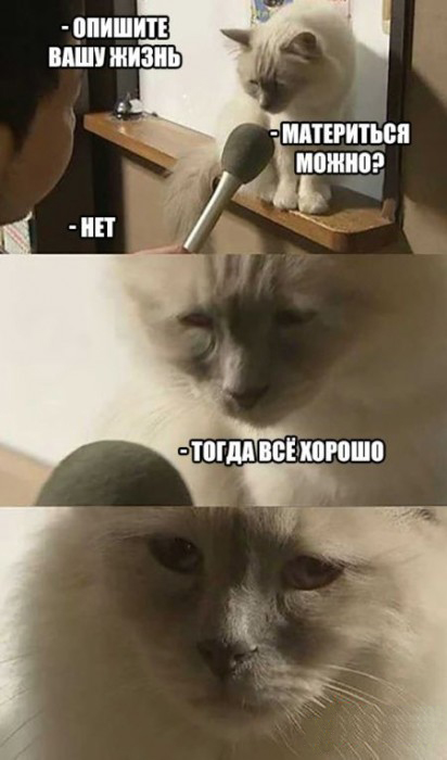 Смешные картинки из сети на 26.10.16