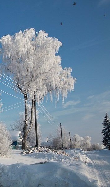 Моменты, запечатлённые на фото и просто позитив 5