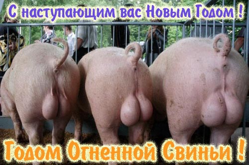 НГ обои для рабочего стола