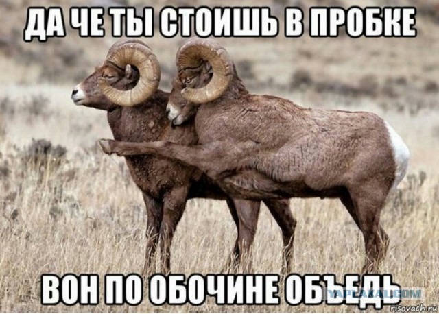 Мажор на Ferrari устроил гонки на скорости 230 км/ч по Москве