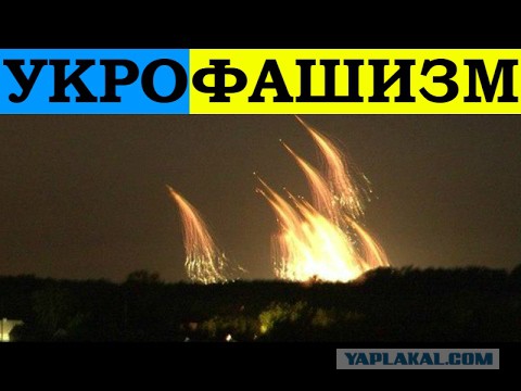 В Крым приехали «Фалькатусы» ФСБ