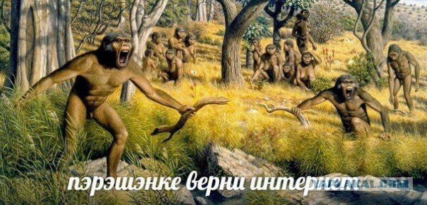 А что, правда на Украине безумие?