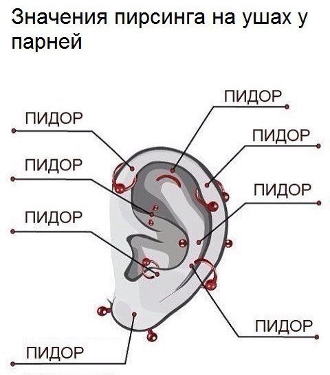 Смешные картинки из сети