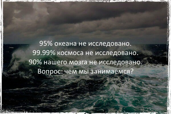 Весёлые картинки