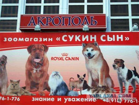 Салон "Слепая курица" в Москве