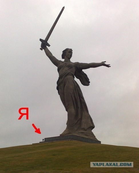Чудики из социальных сетей