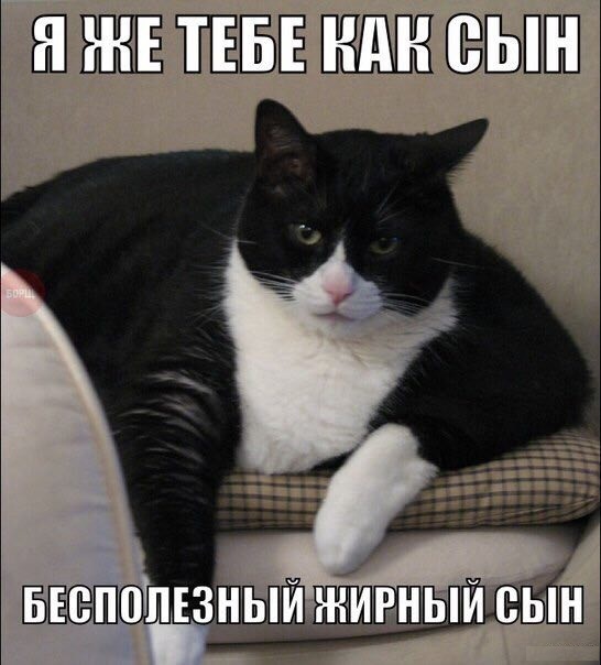 Немного картинок на вечер