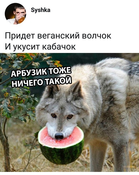 Нестандартный юмор