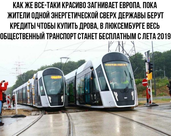 Анекдоты, соц-сети и картинки с надписями