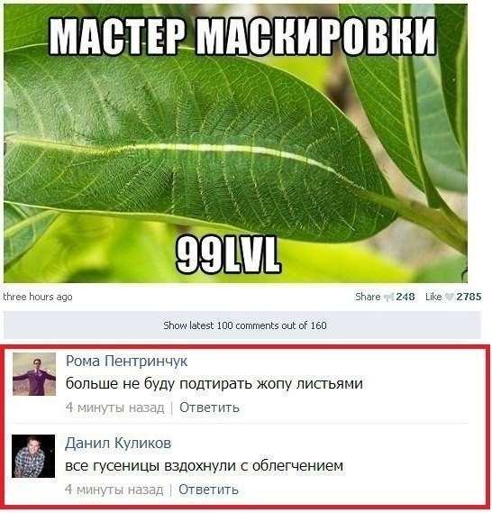 Пикчевая ерунда