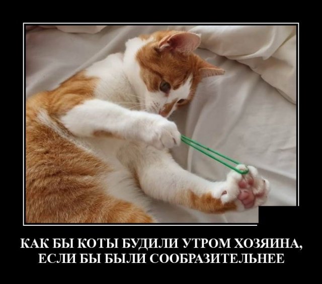 Немного картинок в этот понедельник