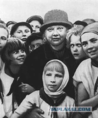 Миноги — самые отвратительные и потрясающие твари, которых порождал океан