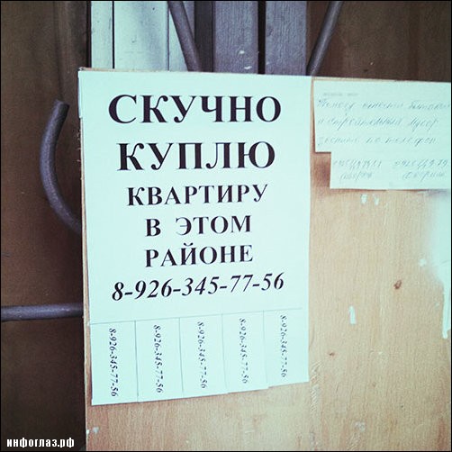 Перлы 12.08.2019