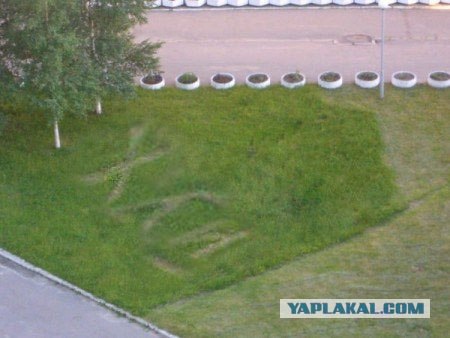 Косить нужно уметь!