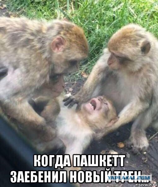 Друзья! Можно слушать и смотреть, я там не пел.. (играл свою мелодию!)