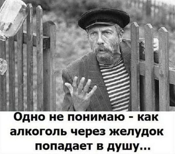 Кто мы на форумах?