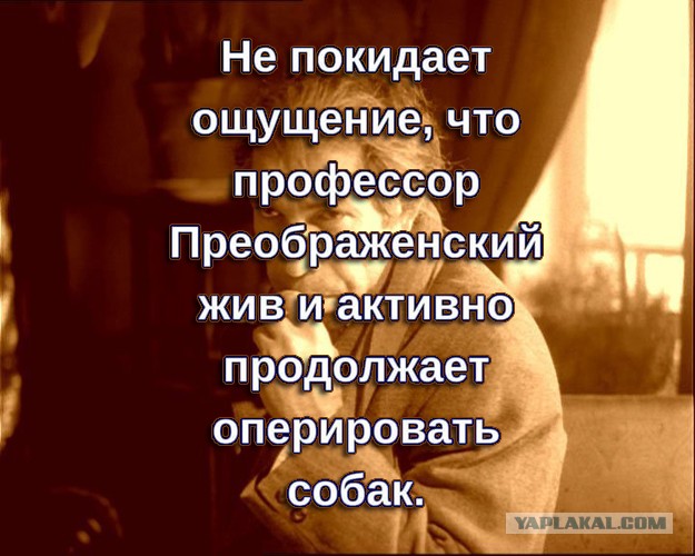 Подборка баянов