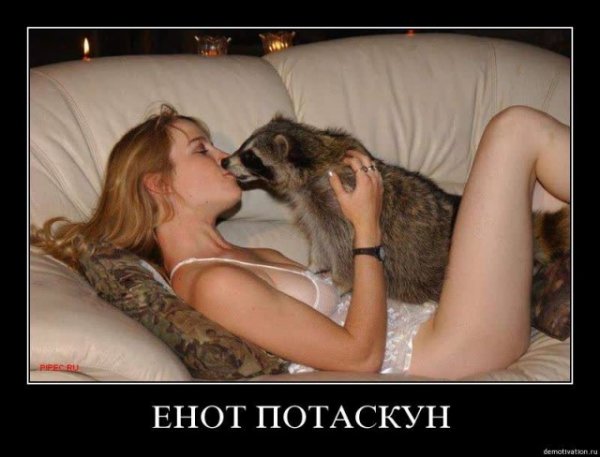 Пятница. И немного слегка пошлых картинок с надписями и без 16+ (24.07)