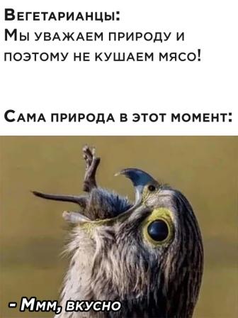 Картинки и мемы для настроения 010