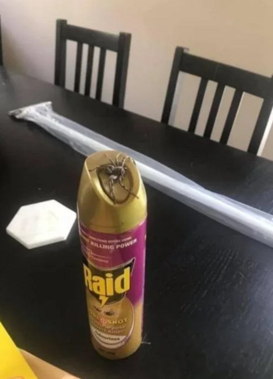 (G)old 4