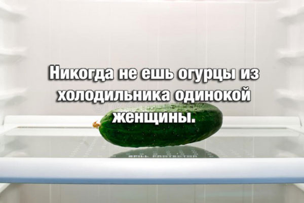 Весёлый полтишок 8.03