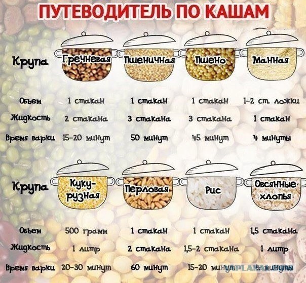Различные  руководства и инфографики.