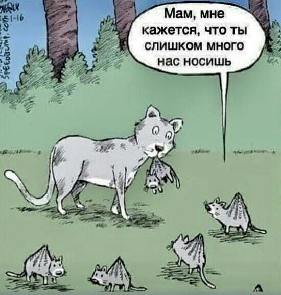 Чернушка на выходные...