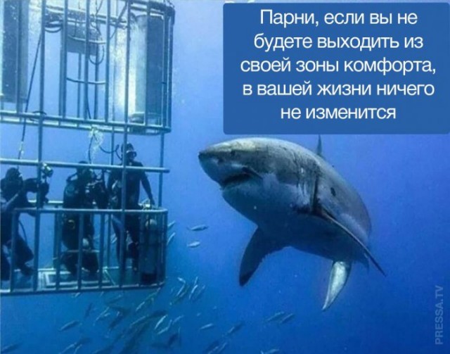 Картинки и мемы для настроения