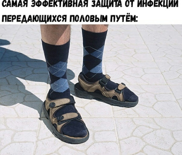 Весёлый полтишок 25.06.